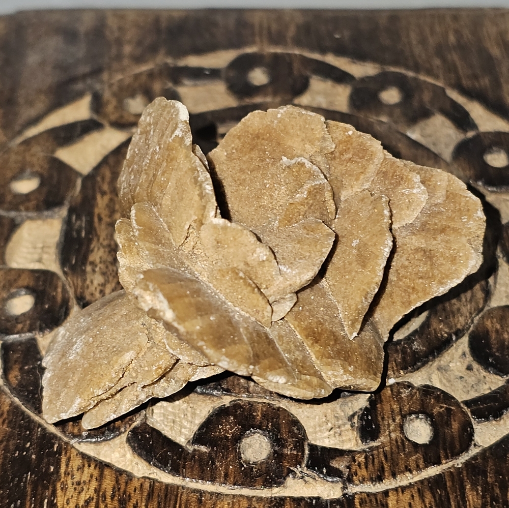 Desert Rose Selenite